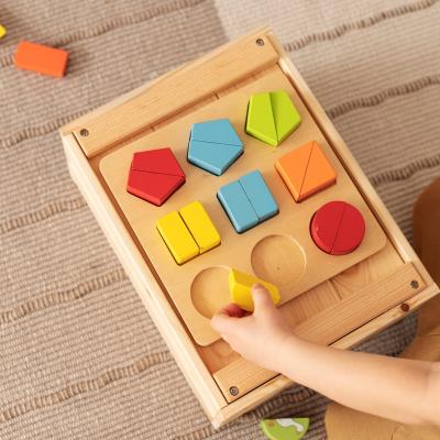 Montessori Wooden Toys